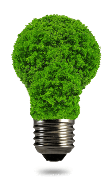 "Bombilla de naturaleza", representando la concienciación de la energia renovable con sombra